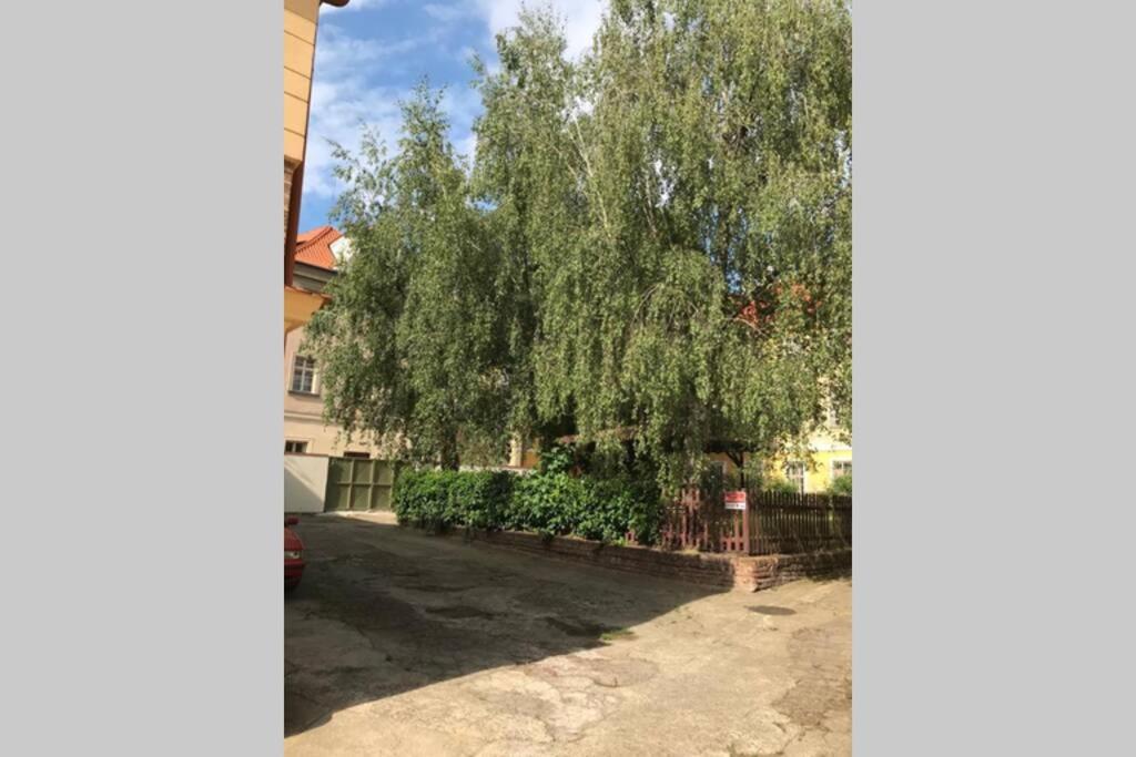 Rose Apartments / Romantic & Cozy / City Center Prague Extérieur photo
